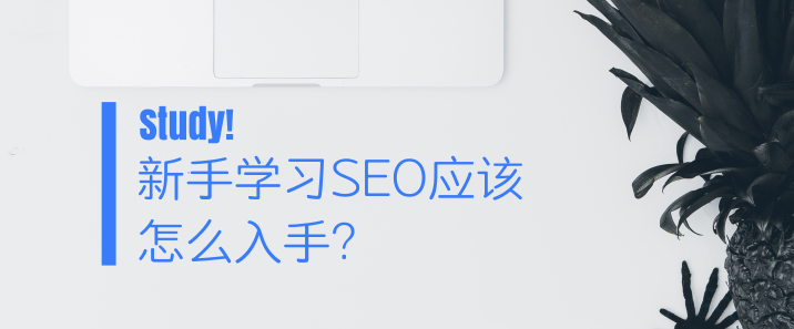 新手学习SEO应该怎么入手