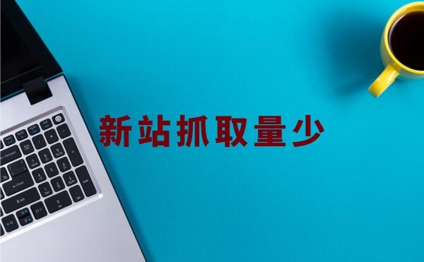 新站刚开始抓取量少是什么原因？