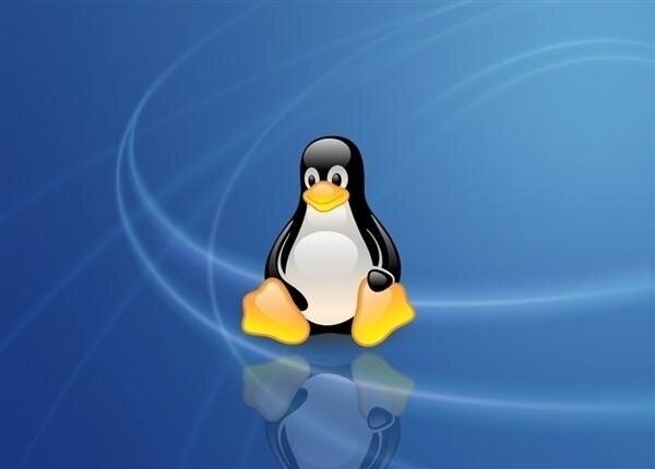 Linux系统操作初体验 通过命令打开txt文件编辑并保存退出
